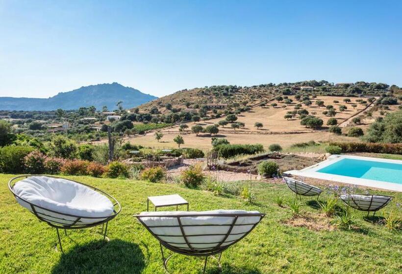 Bed and Breakfast Albero Capovolto