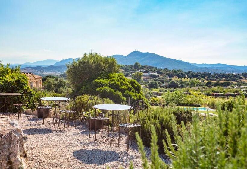 Bed and Breakfast Albero Capovolto