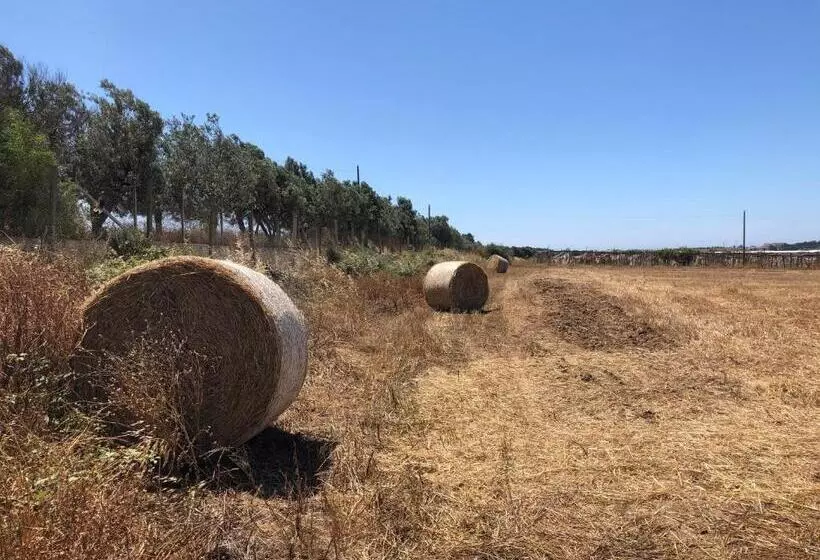 Aamiaismajoitus (B&B) Casale Rocca Fiorita