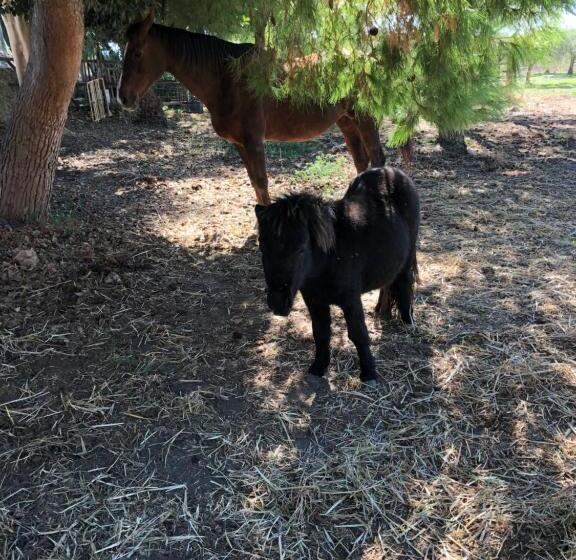 مبيت وإفطار Casale Rocca Fiorita