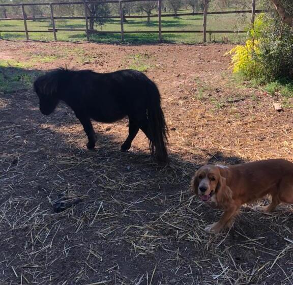 مبيت وإفطار Casale Rocca Fiorita