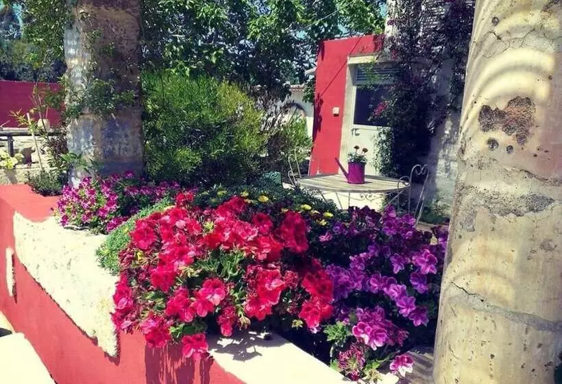 Aamiaismajoitus (B&B) Da Mesciu Nzinu