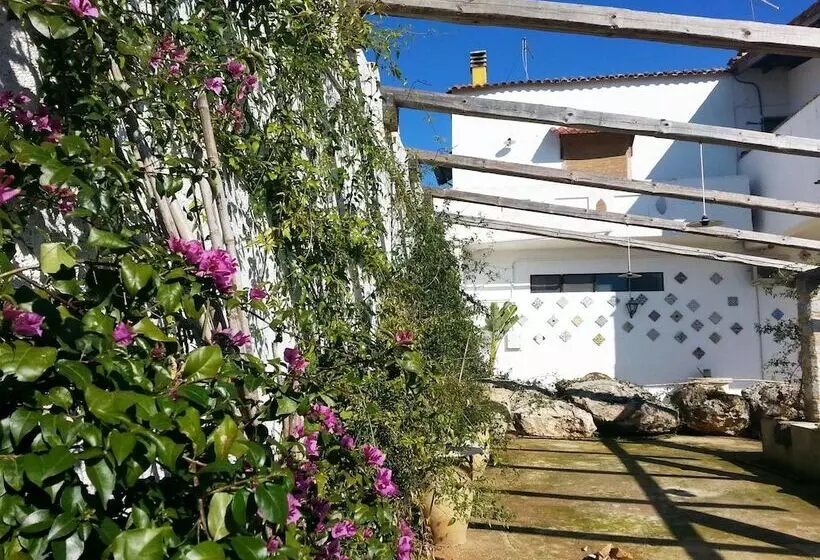 Aamiaismajoitus (B&B) Da Mesciu Nzinu