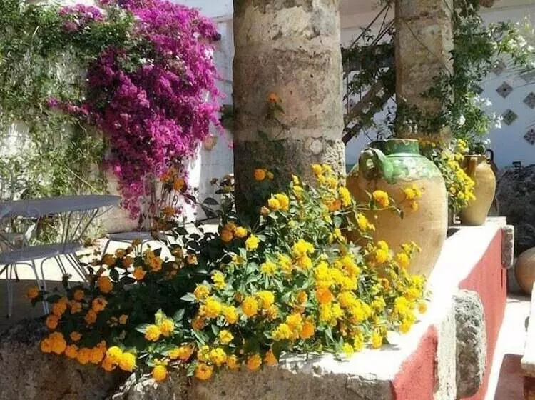 Aamiaismajoitus (B&B) Da Mesciu Nzinu