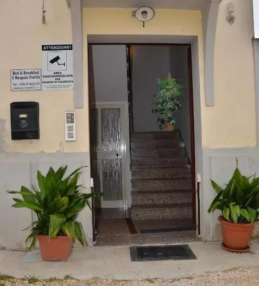 Aamiaismajoitus (B&B) Domo   Guest House Il Nespolo Fiorito