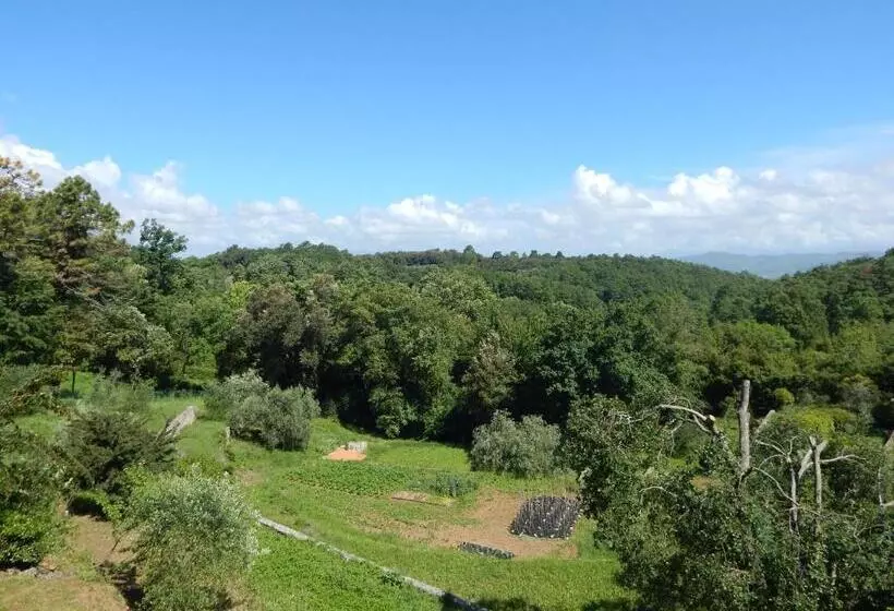 Aamiaismajoitus (B&B) I Lecci