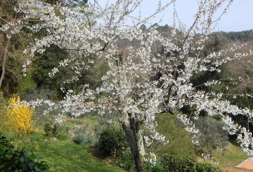 Aamiaismajoitus (B&B) I Lecci