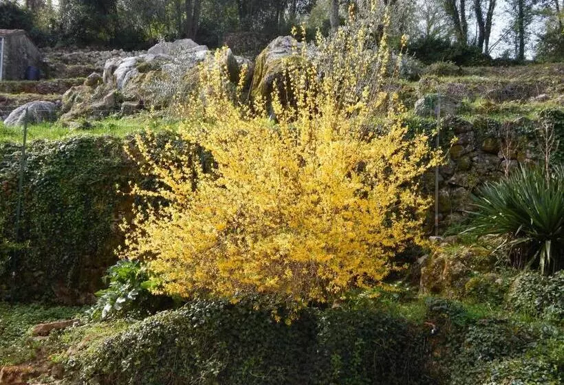 Aamiaismajoitus (B&B) I Lecci