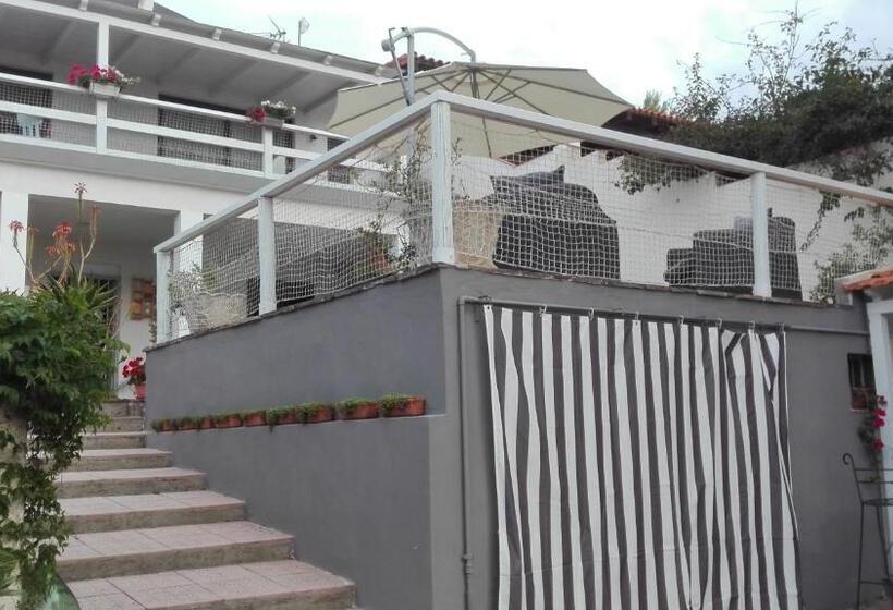 مبيت وإفطار La Casa A Mare