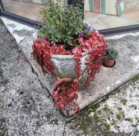 צימר Le Grand Chemin De La Vie