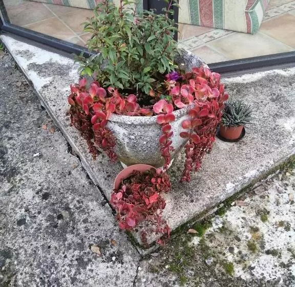 ベッドアンドブレックファースト Le Grand Chemin De La Vie