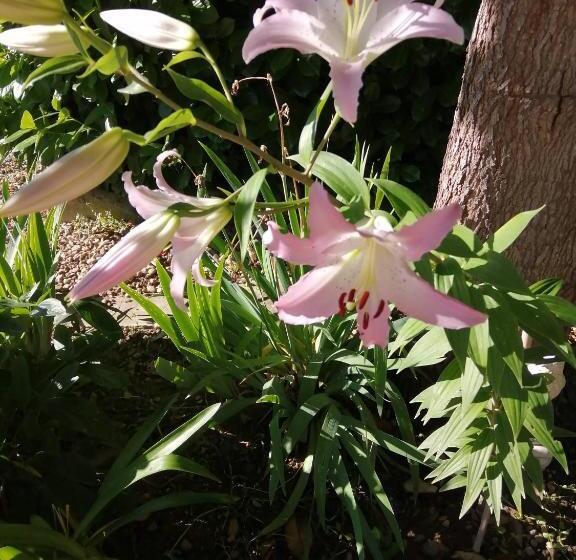 צימר Le Grand Chemin De La Vie