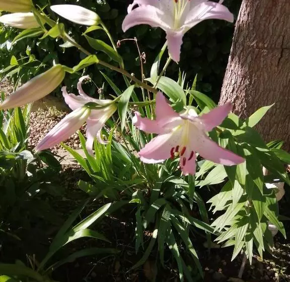 ベッドアンドブレックファースト Le Grand Chemin De La Vie