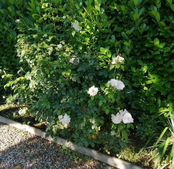 צימר Le Grand Chemin De La Vie