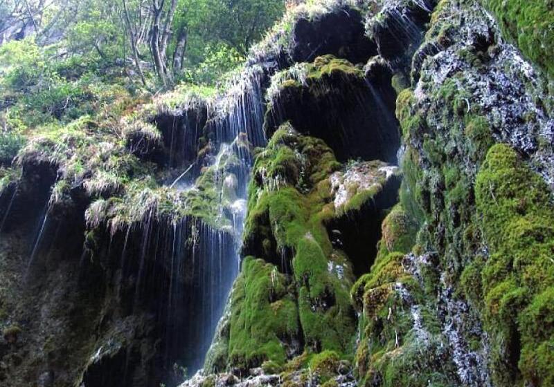 Bed and Breakfast Palazzo Pascal