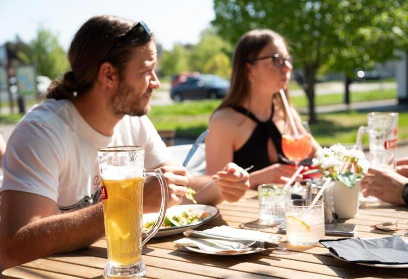 Bed and Breakfast Vadkacsa Panzio