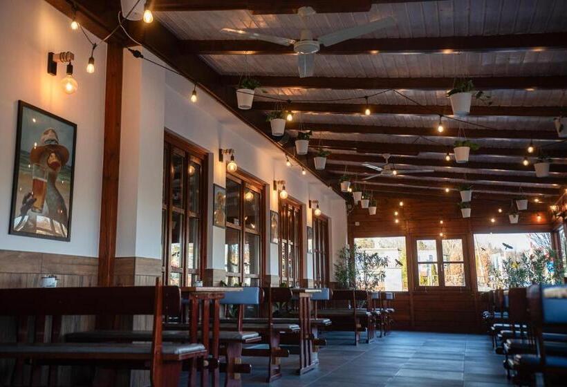 Bed and Breakfast Vadkacsa Panzio