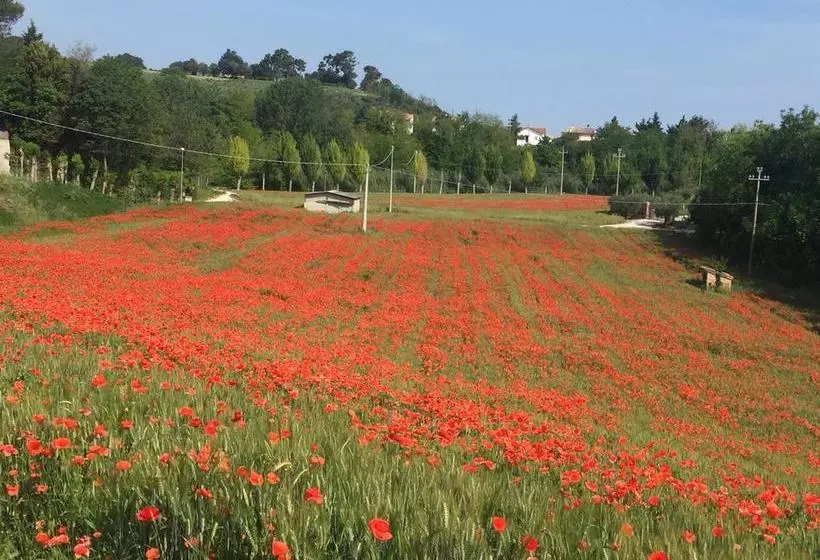 Bed And Breakfast Verdazzurro