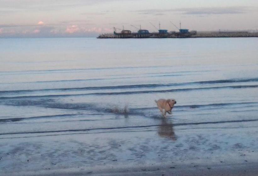 Bed And Breakfast Verdazzurro