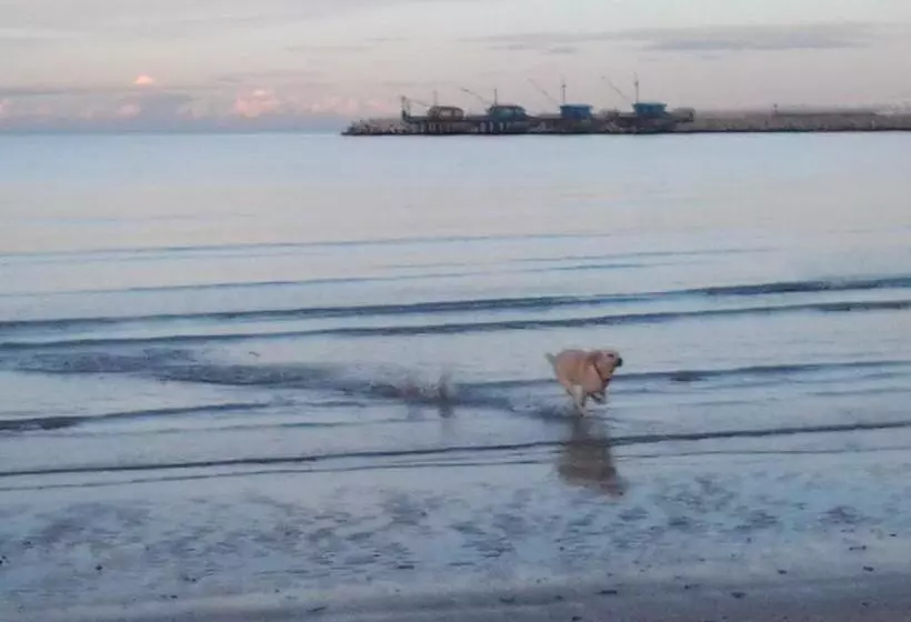 Bed And Breakfast Verdazzurro