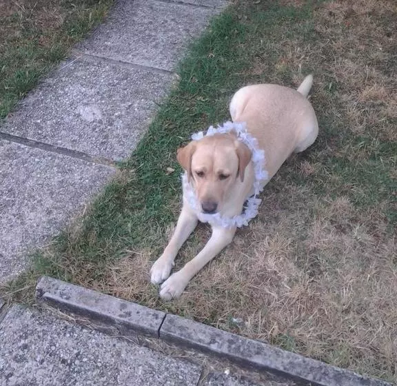 Bed And Breakfast Verdazzurro