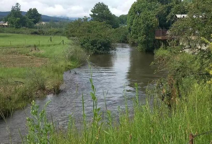 استراحتگاه Sabie River Camp