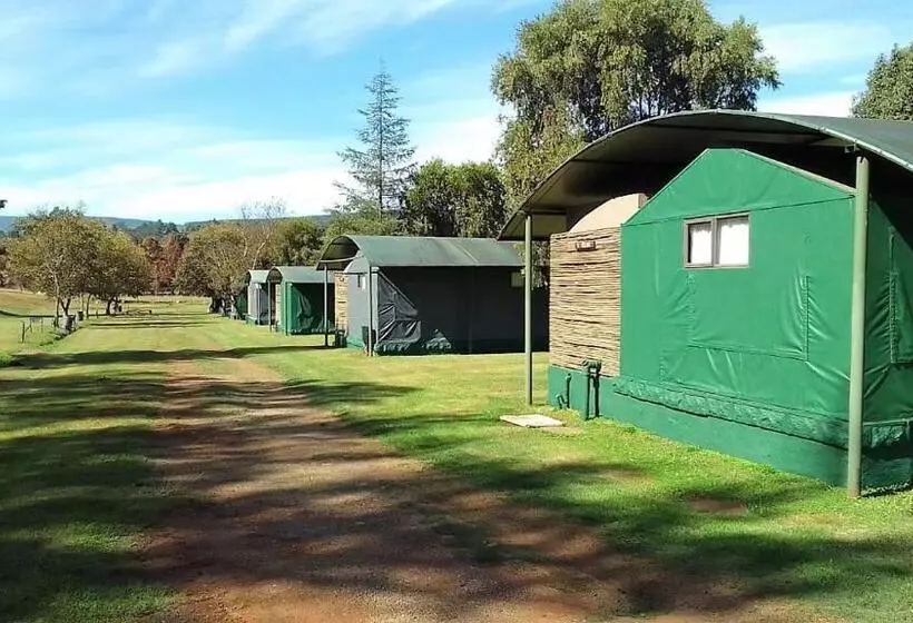 استراحتگاه Sabie River Camp