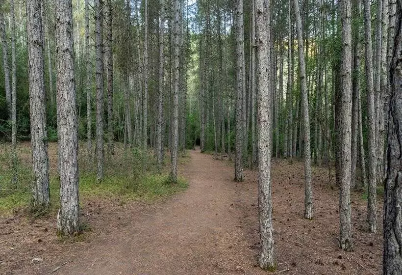Parador De Molina de Aragón