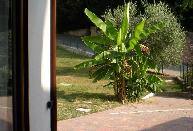 Aamiaismajoitus (B&B) La Bella Vigna