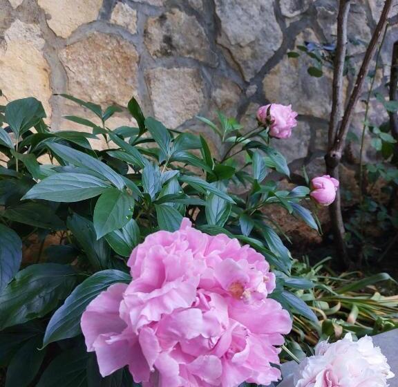 Bed and Breakfast Da Noi Due