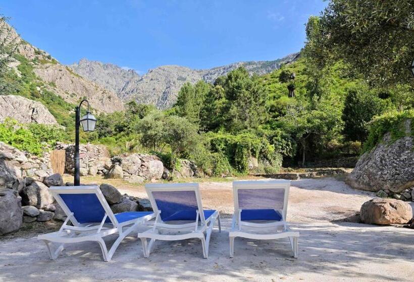 ホテル Hôtel Domaine A Flatta