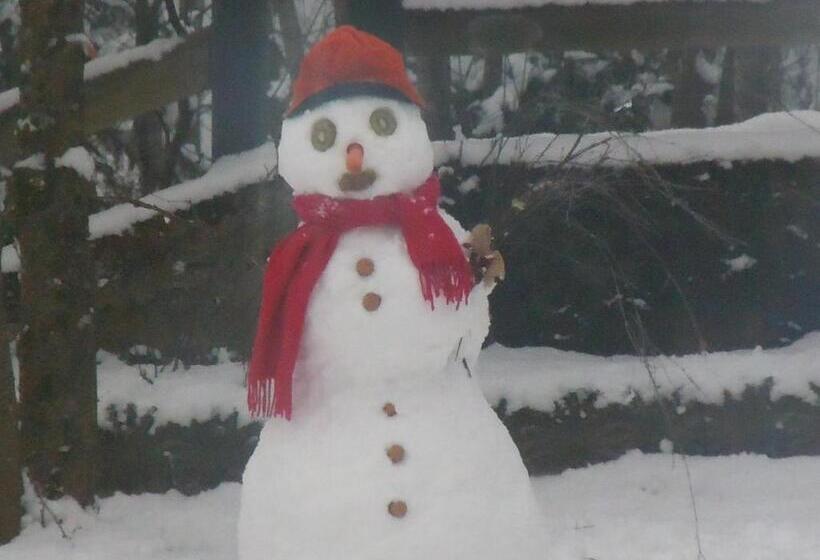 בית מלון כפרי Zoldana