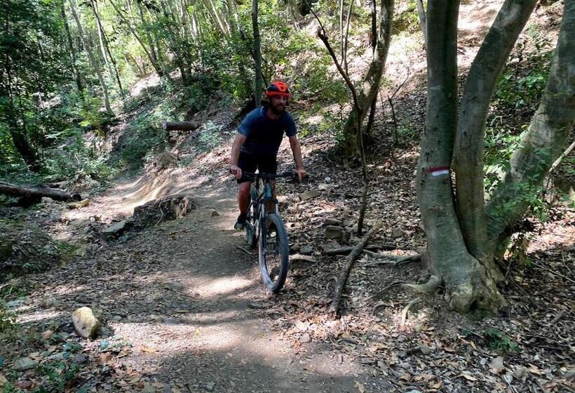 مبيت وإفطار Camere Vecchia Fonte