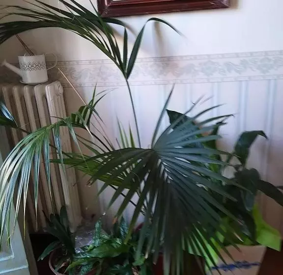 تختخواب و صبحانه Bed&breakfast 1912