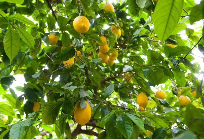 민박 Bed&breakfast Annapaola