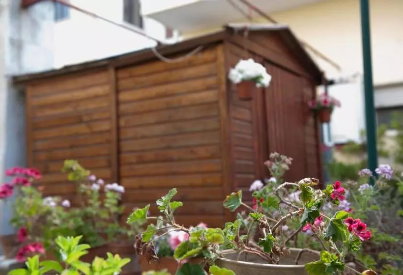 ベッドアンドブレックファースト Bed&breakfast Annapaola