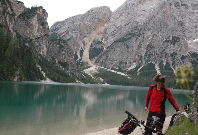 住宿加早餐 Garni Appartments Helvetia