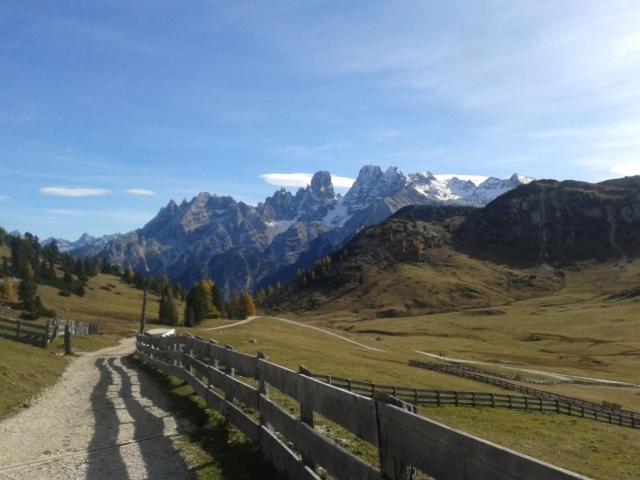 住宿加早餐 Garni Appartments Helvetia