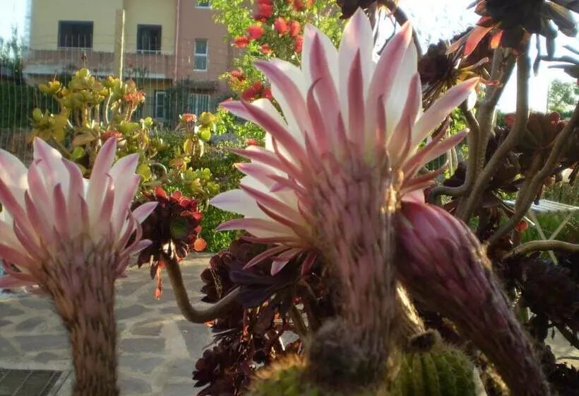 تختخواب و صبحانه Il Giardino Di Emilio
