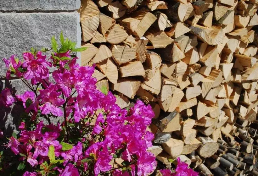 Hotelli Alps Oriental Wellness