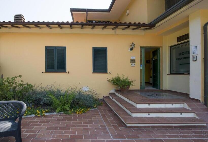 酒店 Cecco Di Nara