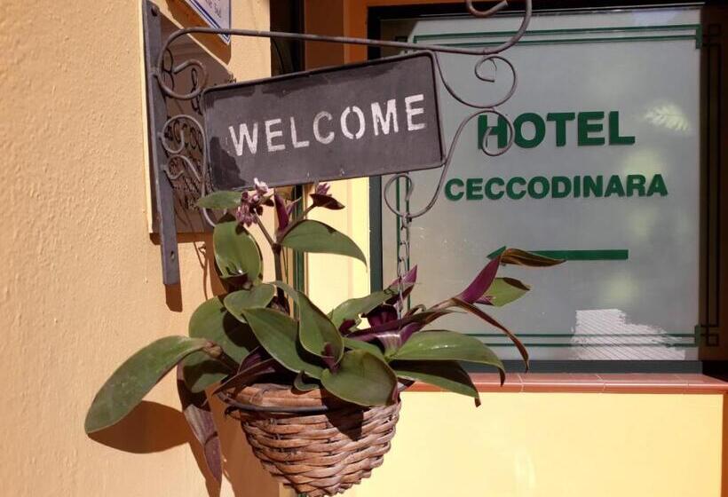 酒店 Cecco Di Nara