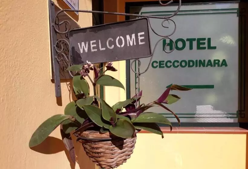 Hotelli Cecco Di Nara