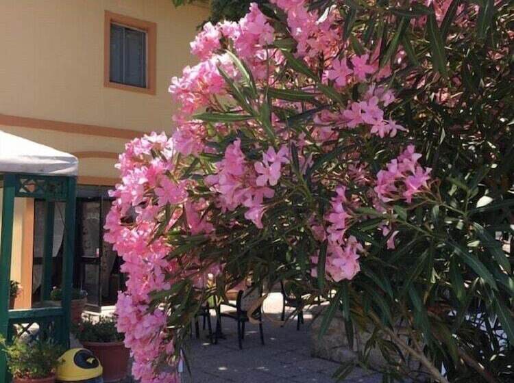 ホテル Il Malandrone