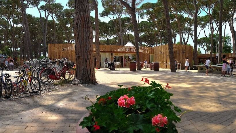 فندق Il Mulinaccio