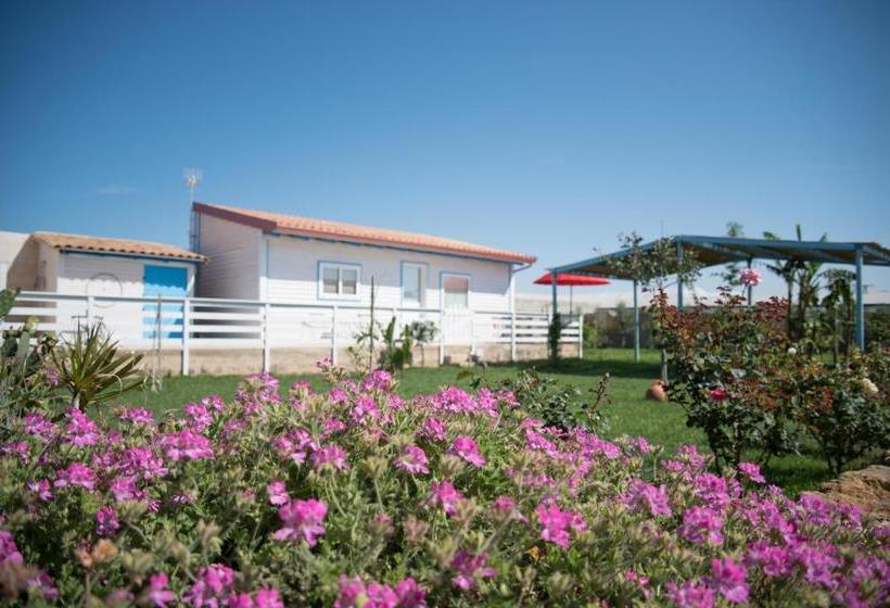 Mare Indaco Bed & Breakfast