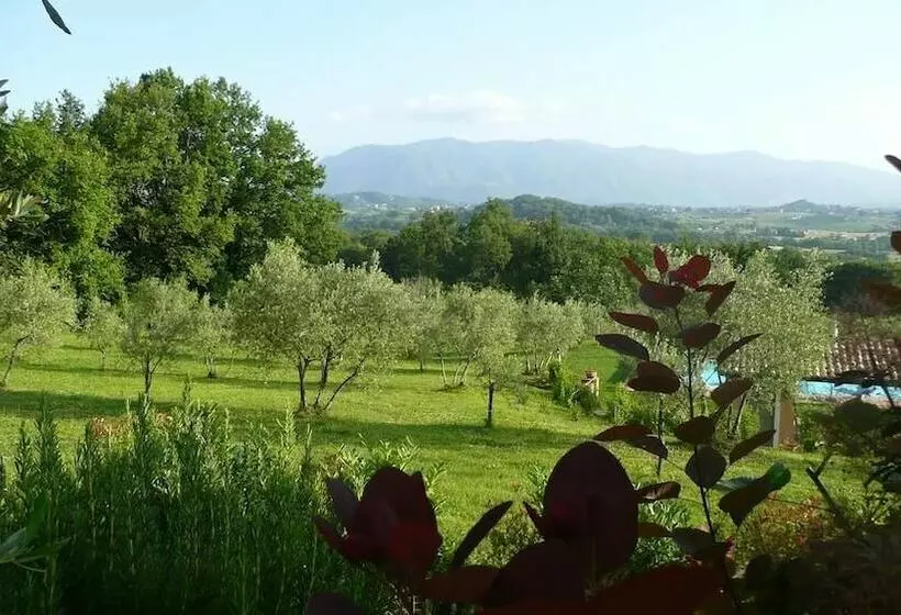 Il Bruco Appartamenti In B&b