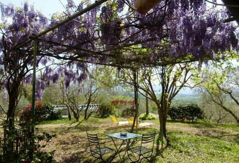 Il Bruco Appartamenti In B&b