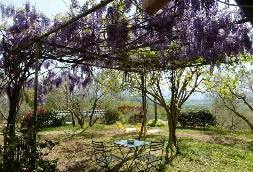 Il Bruco Appartamenti In B&b