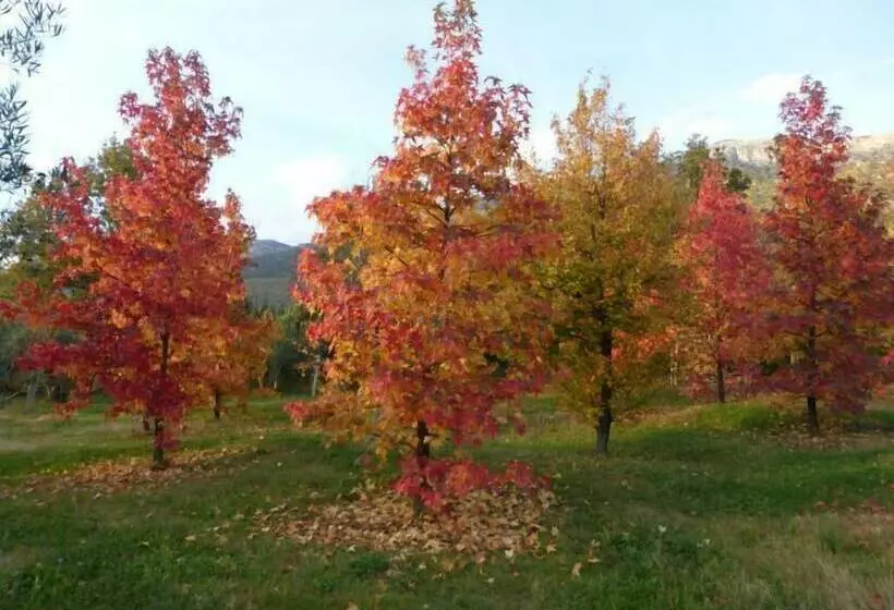 Il Bruco Appartamenti In B&b